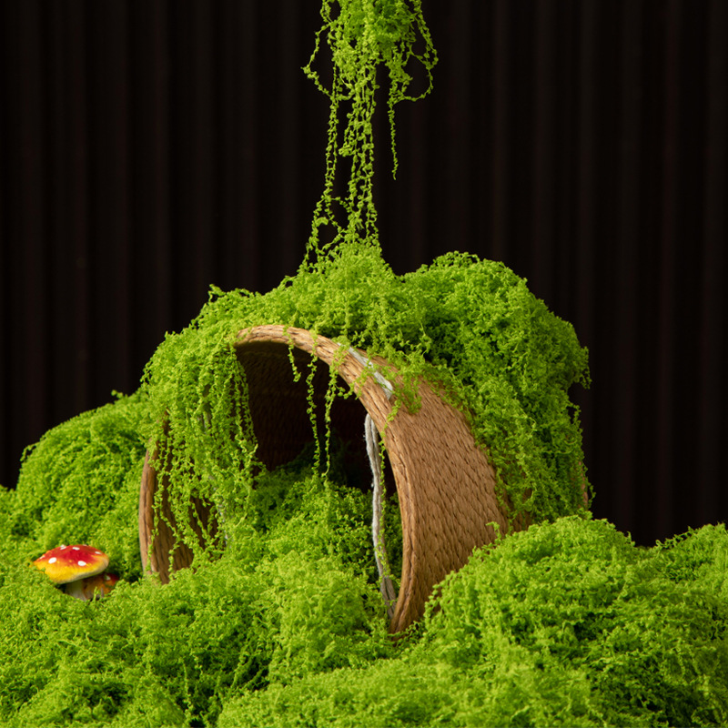 Terrarium Moss Art - 200G Rumput Lumut Kehidupan Abadi DIY
