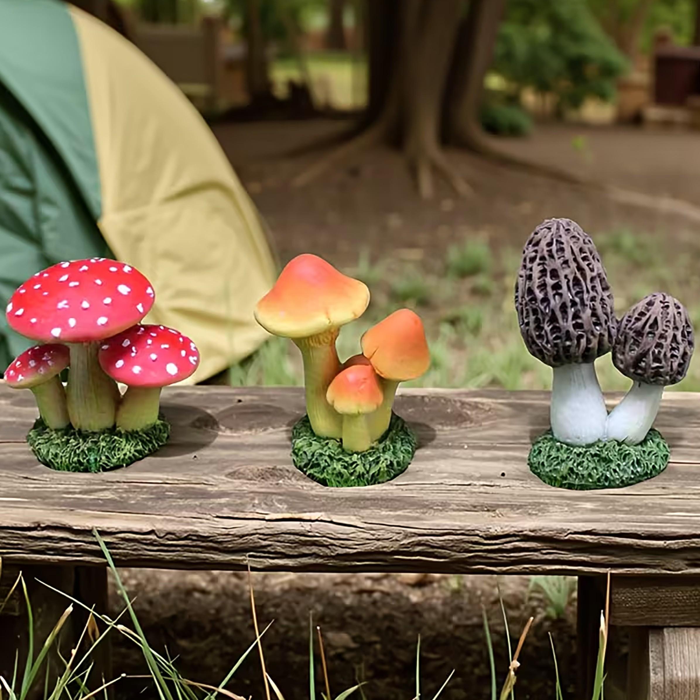 Terrarium Moss Art - 1 Set berisi 3 buah Hiasan