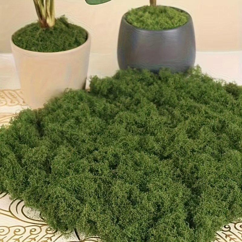 Terrarium Moss Art - 50G Hijau Lumut Palsu DIY Kerajinan