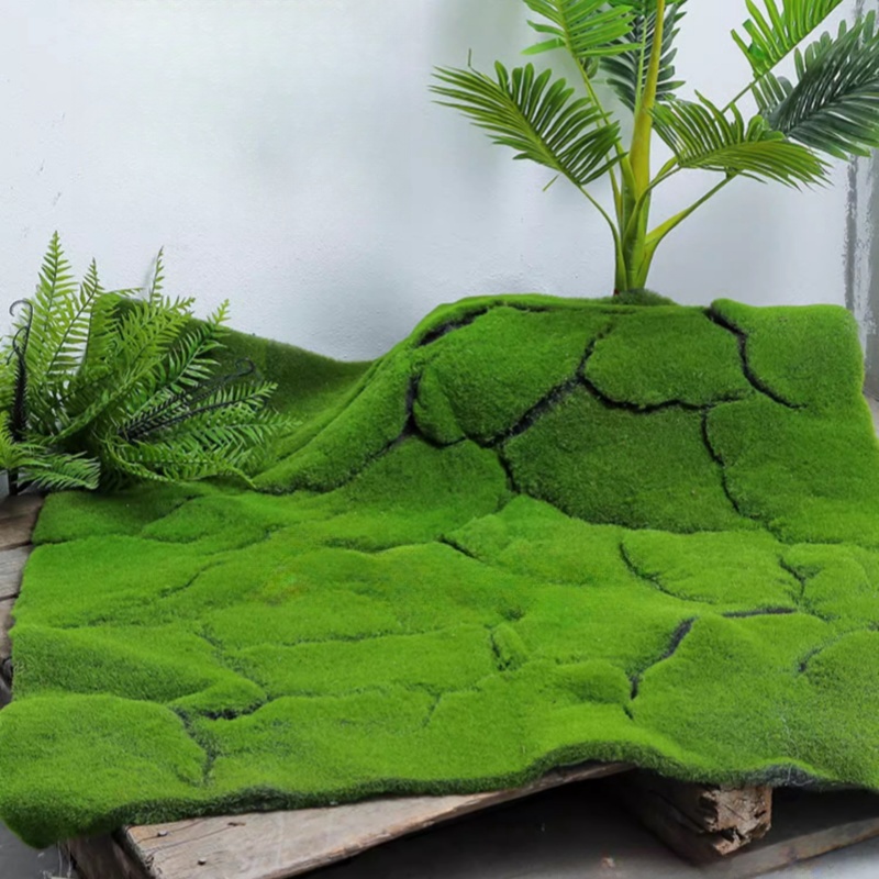 Rumput buatan, Lumut rumput pa - Terrarium Moss Art ulasan dan harga