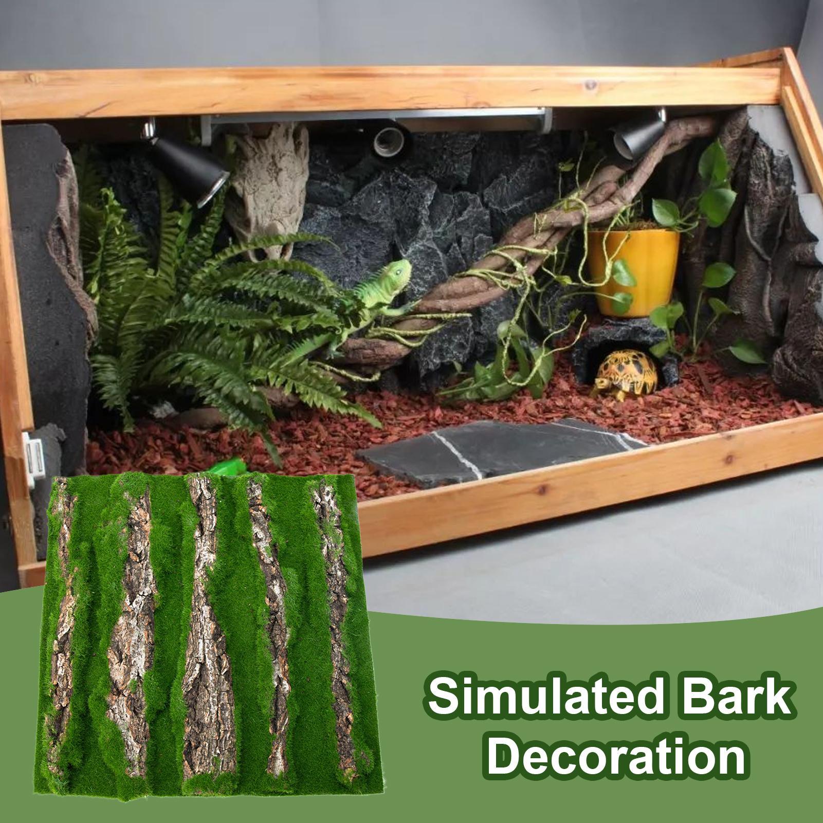 Dekorasi Latar Belakang Terari - Terrarium Moss Art ulasan dan harga