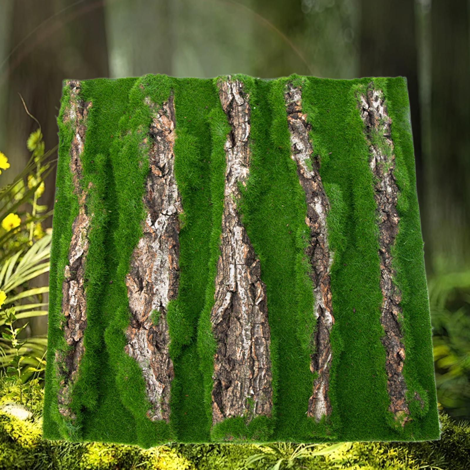 Dekorasi Latar Belakang Terari - Terrarium Moss Art ulasan dan harga