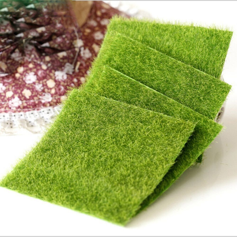 Dekorasi Rumput Ekologis Hiasa - Terrarium Moss Art ulasan dan harga