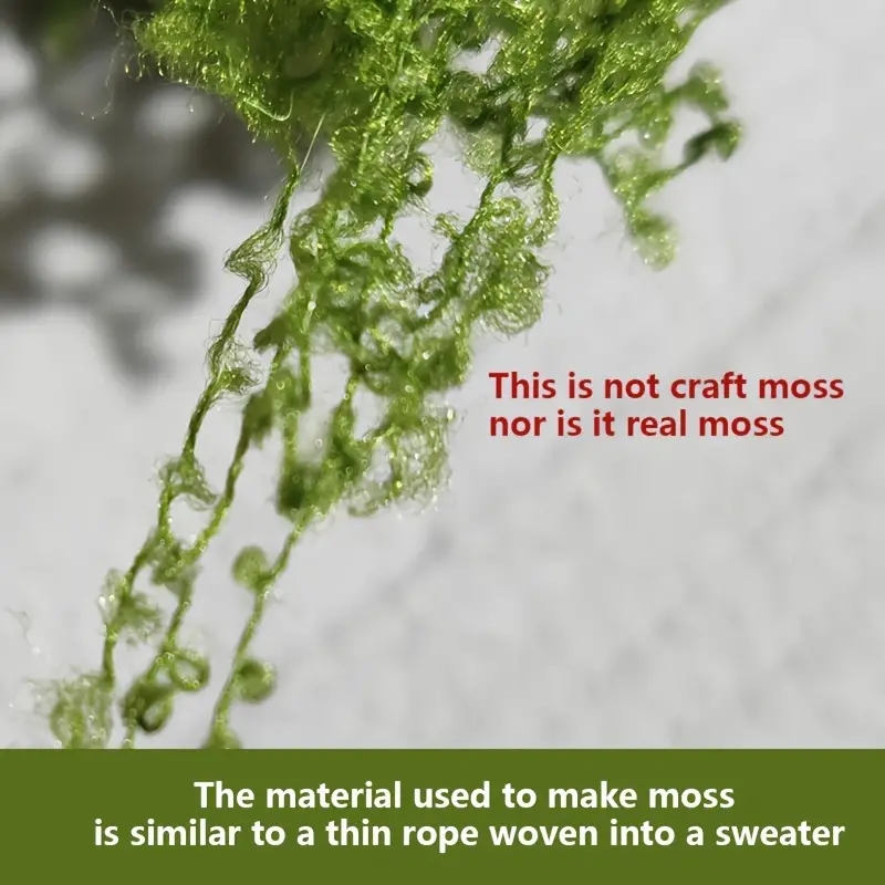 Sekitar 20g tanaman hijau buat - Terrarium Moss Art ulasan dan harga