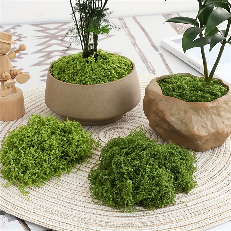 1 Pak lumut palsu buatan, 1.05 - Terrarium Moss Art ulasan dan harga