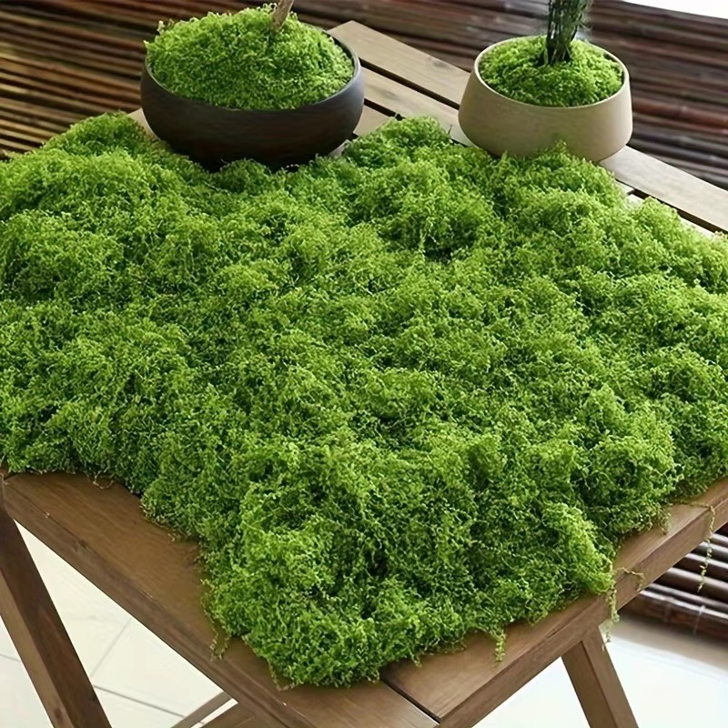 50G Hijau Lumut Palsu DIY Kera - Terrarium Moss Art ulasan dan harga