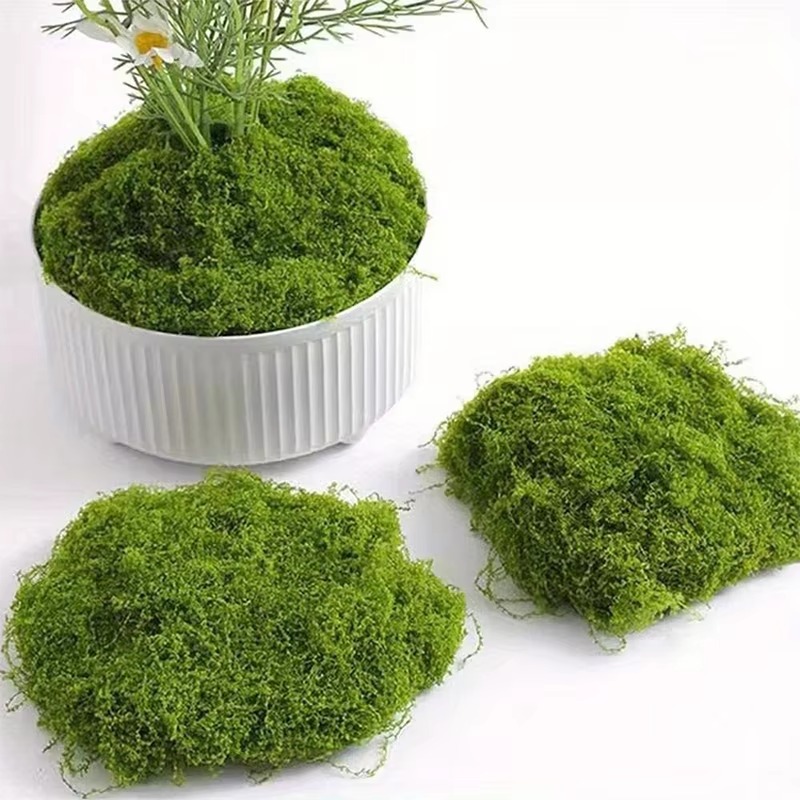 50G Hijau Lumut Palsu DIY Kera - Terrarium Moss Art ulasan dan harga